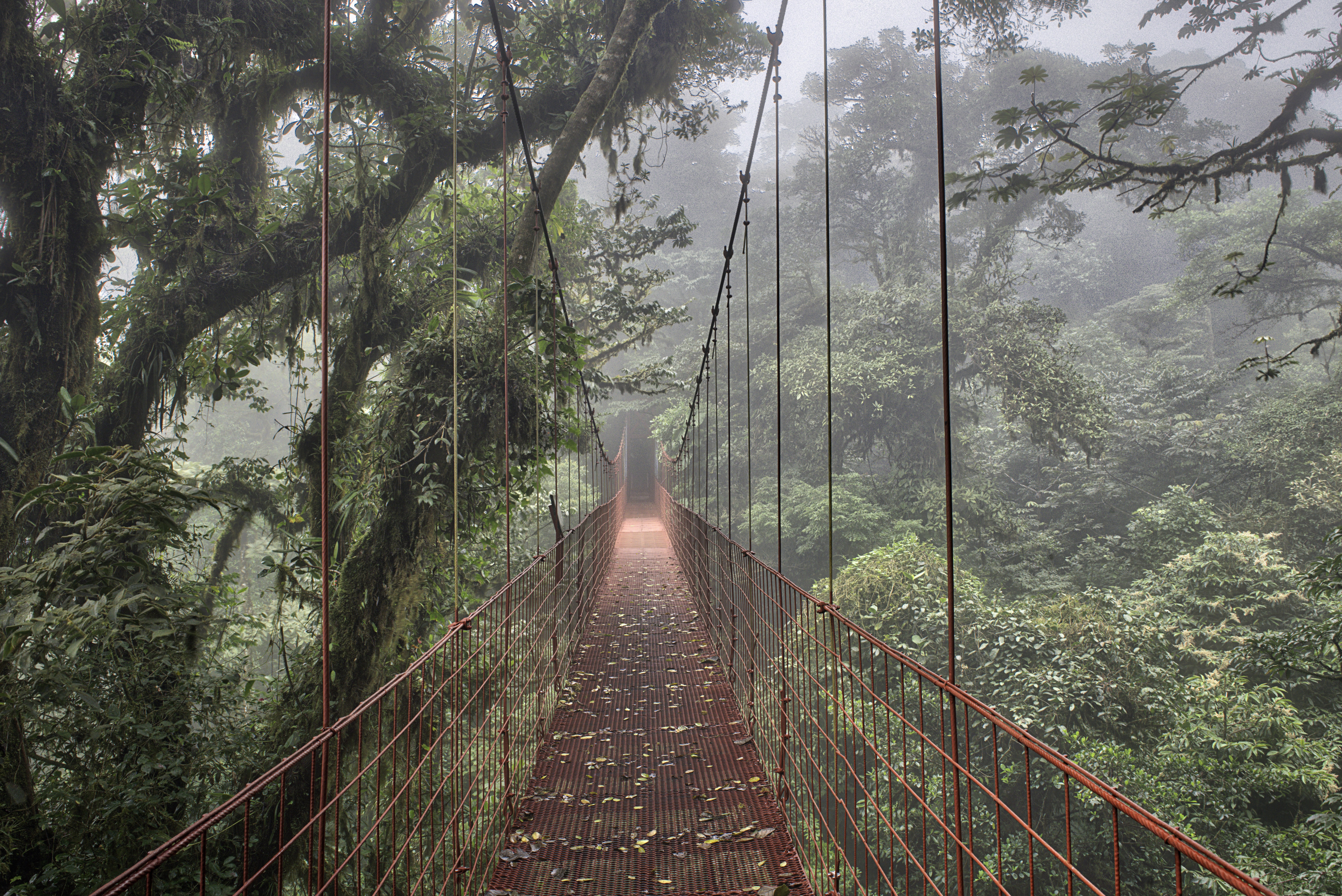 Monteverde